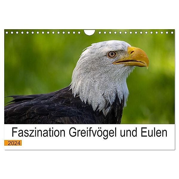 Faszination Greifvögel und Eulen (Wandkalender 2024 DIN A4 quer), CALVENDO Monatskalender, Manuel Weiter