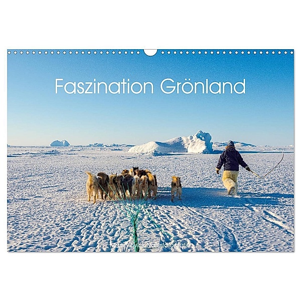Faszination Grönland (Wandkalender 2024 DIN A3 quer), CALVENDO Monatskalender, Martin Zwick