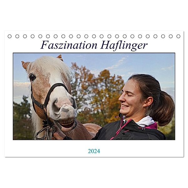 Faszination Haflinger (Tischkalender 2024 DIN A5 quer), CALVENDO Monatskalender, Babett Paul - Babetts Bildergalerie