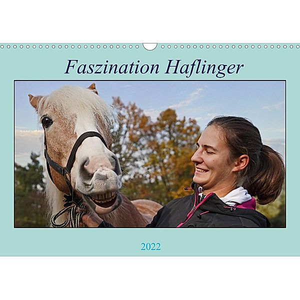 Faszination Haflinger (Wandkalender 2022 DIN A3 quer), Babett Paul - Babetts Bildergalerie