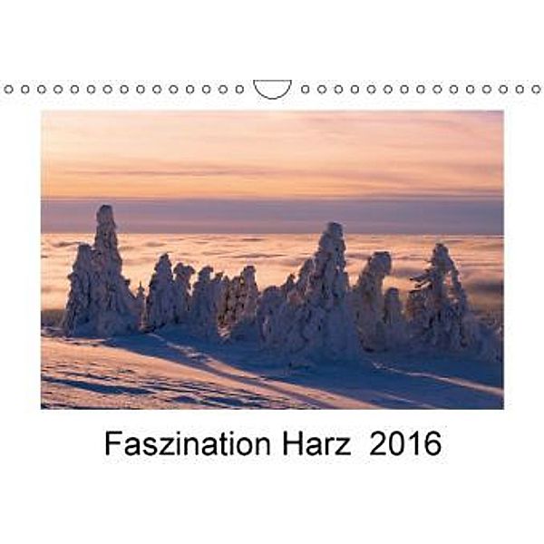 Faszination Harz 2016 (Wandkalender 2016 DIN A4 quer), Armin Maywald