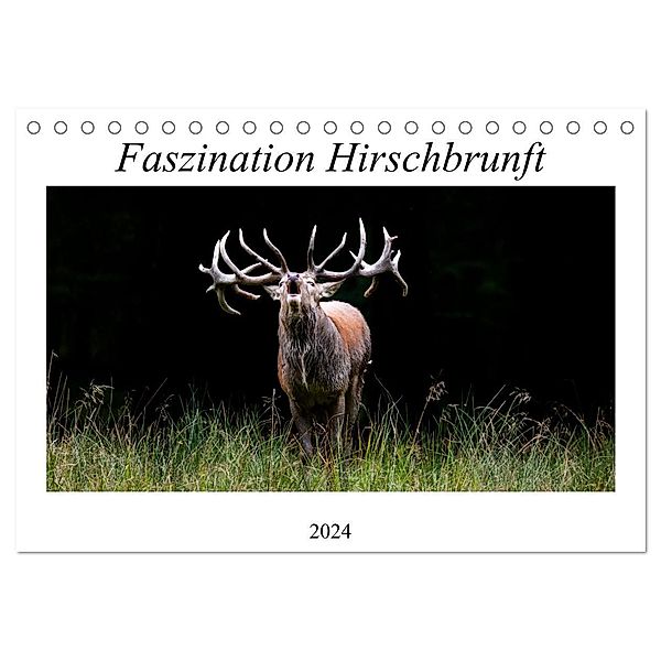 Faszination Hirschbrunft (Tischkalender 2024 DIN A5 quer), CALVENDO Monatskalender, Daniela Fett