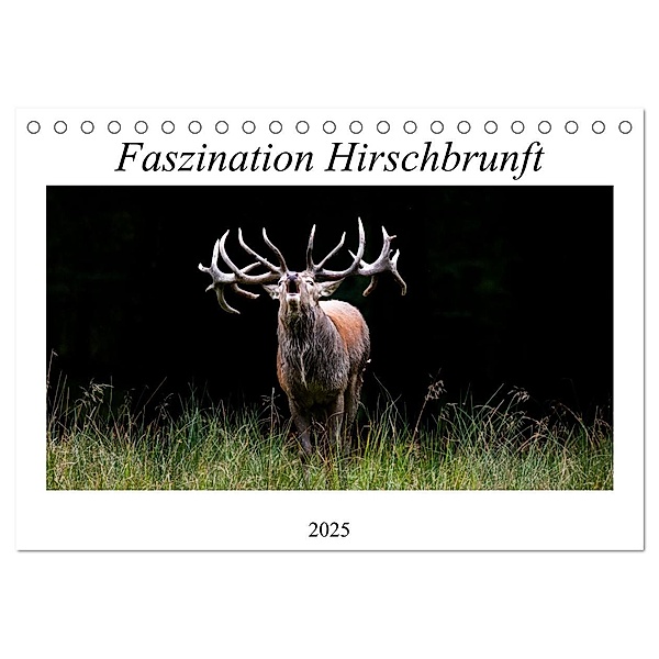 Faszination Hirschbrunft (Tischkalender 2025 DIN A5 quer), CALVENDO Monatskalender, Calvendo, Daniela Fett