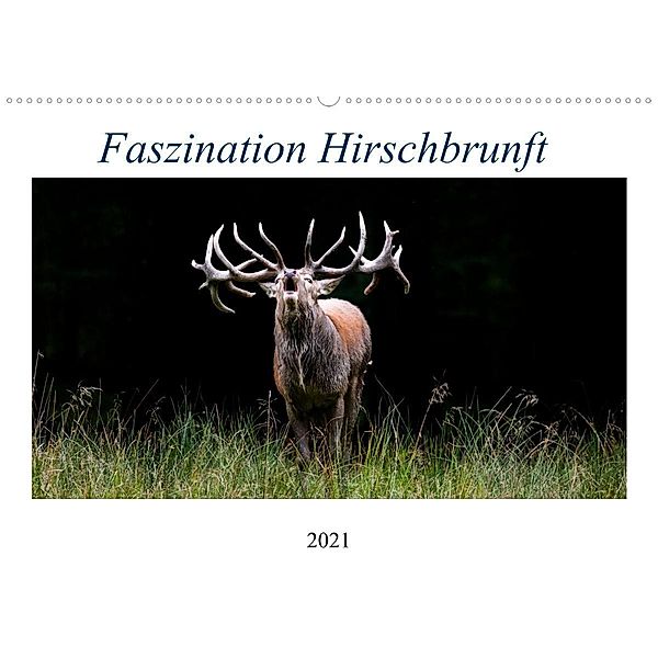 Faszination Hirschbrunft (Wandkalender 2021 DIN A2 quer), Daniela Fett