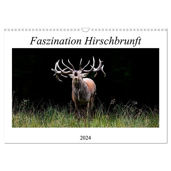 Faszination Hirschbrunft (Wandkalender 2024 DIN A3 quer), CALVENDO Monatskalender, Daniela Fett