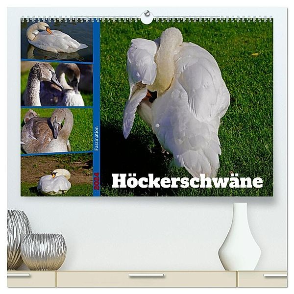 Faszination Höckerschwäne (hochwertiger Premium Wandkalender 2024 DIN A2 quer), Kunstdruck in Hochglanz, Babett Paul - Babetts Bildergalerie