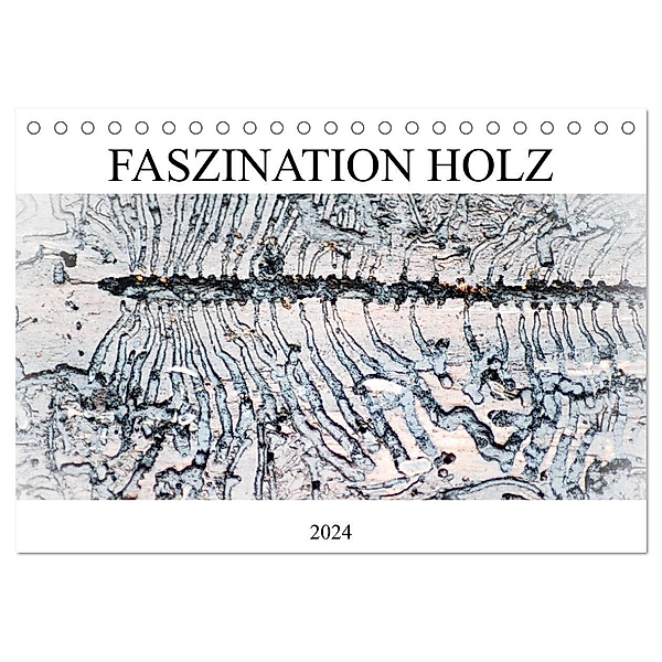 Faszination Holz (Tischkalender 2024 DIN A5 quer), CALVENDO Monatskalender, Isabell Kull