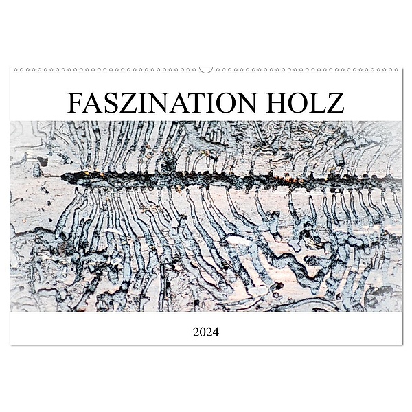 Faszination Holz (Wandkalender 2024 DIN A2 quer), CALVENDO Monatskalender, Isabell Kull