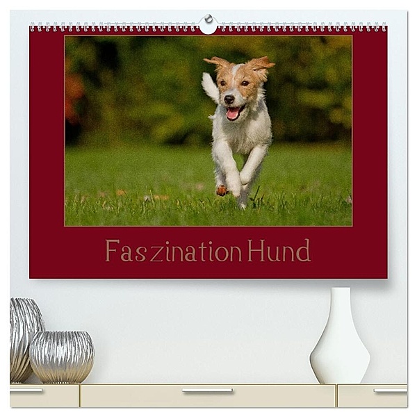 Faszination Hund (hochwertiger Premium Wandkalender 2024 DIN A2 quer), Kunstdruck in Hochglanz, Tierfotografie Bischof, Melanie Bischof
