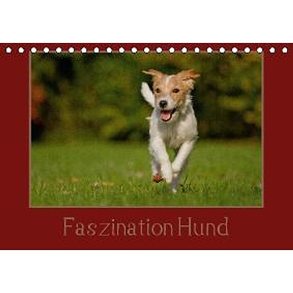 Faszination Hund (Tischkalender 2016 DIN A5 quer), Melanie Bischof, Tierfotografie Bischof
