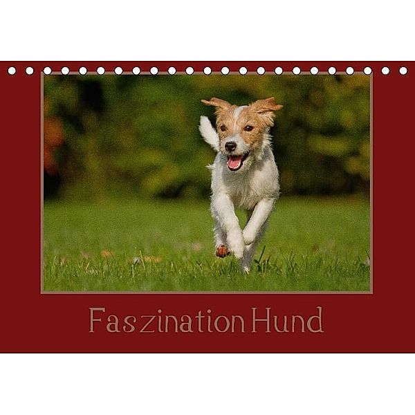 Faszination Hund (Tischkalender 2017 DIN A5 quer), Melanie Bischof