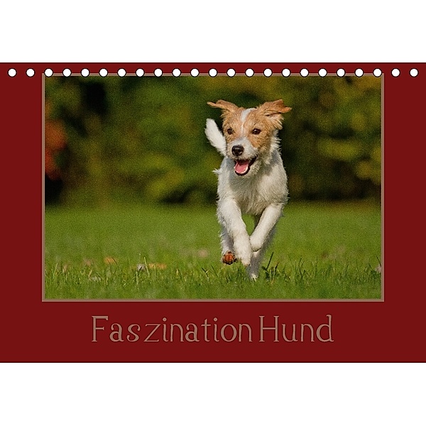Faszination Hund (Tischkalender 2018 DIN A5 quer), Melanie Bischof
