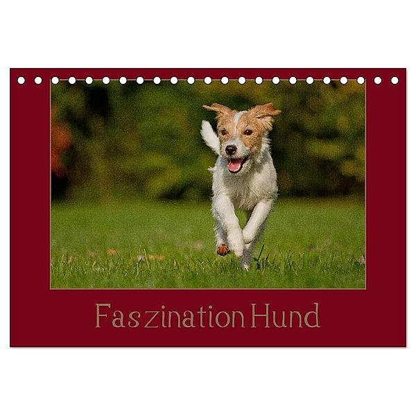 Faszination Hund (Tischkalender 2024 DIN A5 quer), CALVENDO Monatskalender, Tierfotografie Bischof, Melanie Bischof