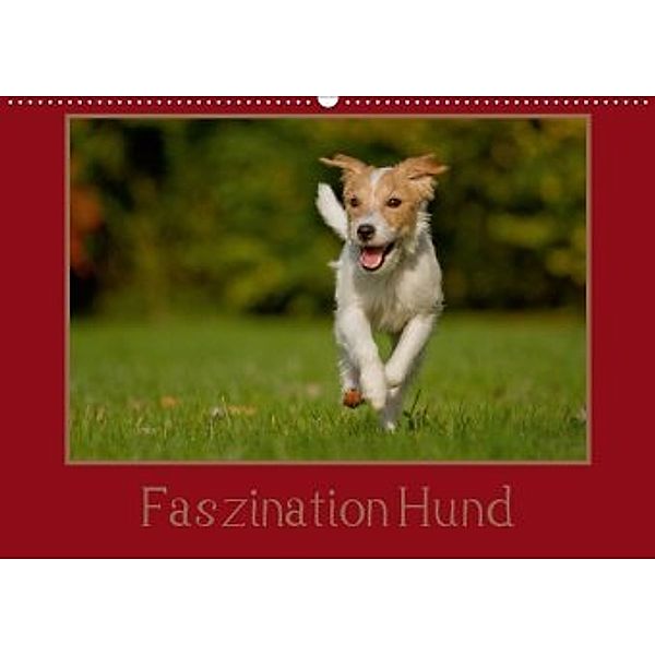 Faszination Hund (Wandkalender 2020 DIN A2 quer), Melanie Bischof