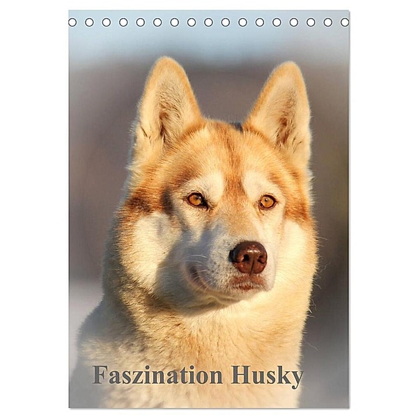 Faszination Husky (Tischkalender 2024 DIN A5 hoch), CALVENDO Monatskalender, Huskyranch of Snow Wolf Valley
