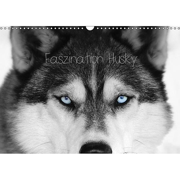 Faszination Husky (Wandkalender 2019 DIN A3 quer), of Snow Wolf Valley