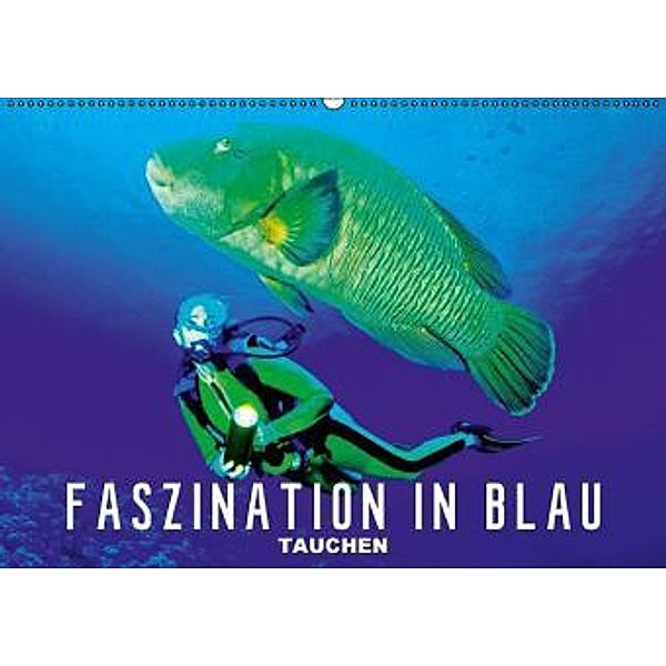 Faszination in Blau: Tauchen (Wandkalender 2016 DIN A2 quer), Calvendo