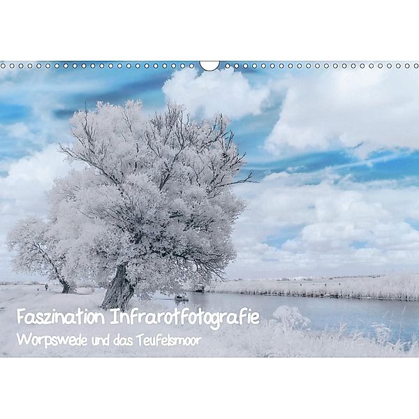 Faszination Infrarotfotografie (Wandkalender 2020 DIN A3 quer), Maren Arndt