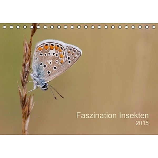 Faszination Insekten (Tischkalender 2015 DIN A5 quer), Jan Ole Weidert