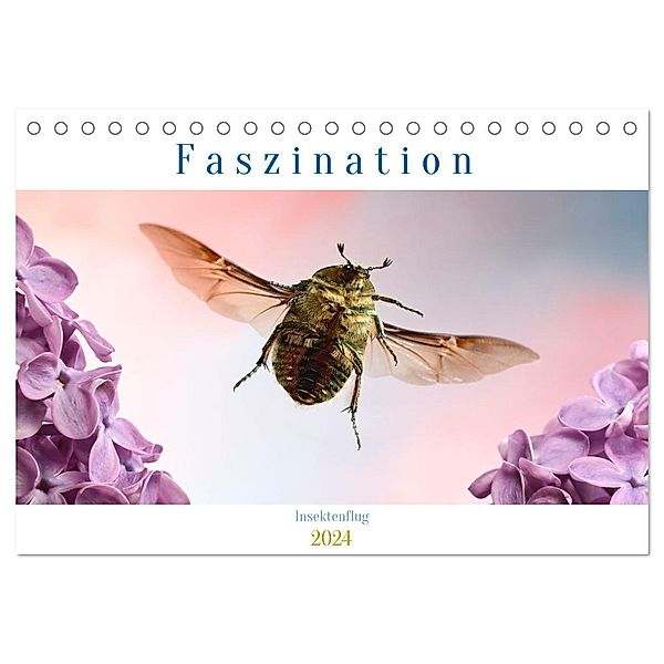 Faszination Insektenflug (Tischkalender 2024 DIN A5 quer), CALVENDO Monatskalender, André Skonieczny