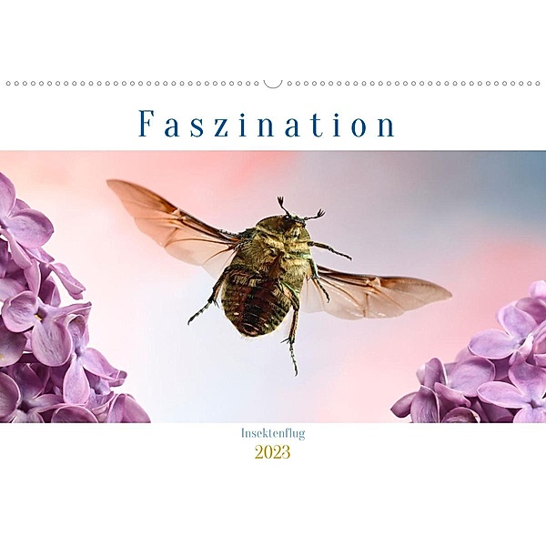 Faszination Insektenflug (Wandkalender 2023 DIN A2 quer), André Skonieczny