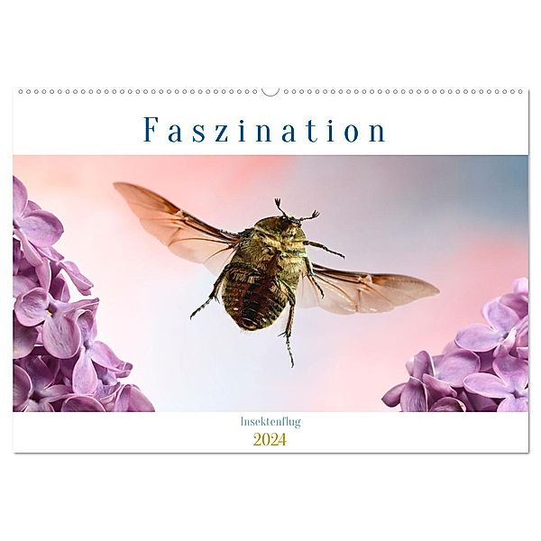 Faszination Insektenflug (Wandkalender 2024 DIN A2 quer), CALVENDO Monatskalender, André Skonieczny