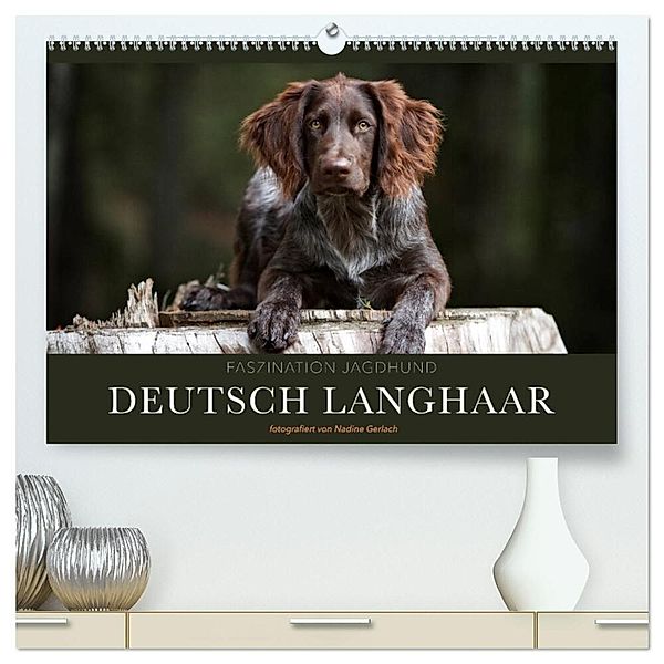 Faszination Jagdhund - Deutsch Langhaar (hochwertiger Premium Wandkalender 2025 DIN A2 quer), Kunstdruck in Hochglanz, Calvendo, Nadine Gerlach