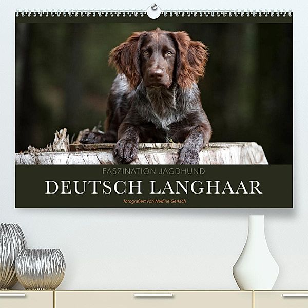 Faszination Jagdhund - Deutsch Langhaar (Premium, hochwertiger DIN A2 Wandkalender 2023, Kunstdruck in Hochglanz), Nadine Gerlach