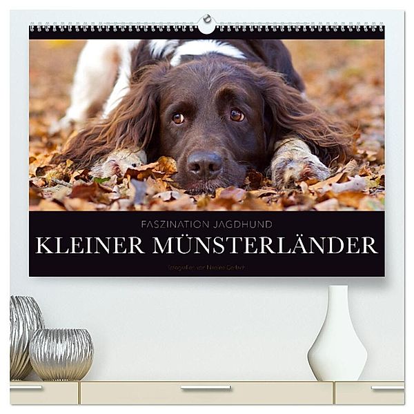 Faszination Jagdhund - Kleiner Münsterländer (hochwertiger Premium Wandkalender 2024 DIN A2 quer), Kunstdruck in Hochglanz, Nadine Gerlach