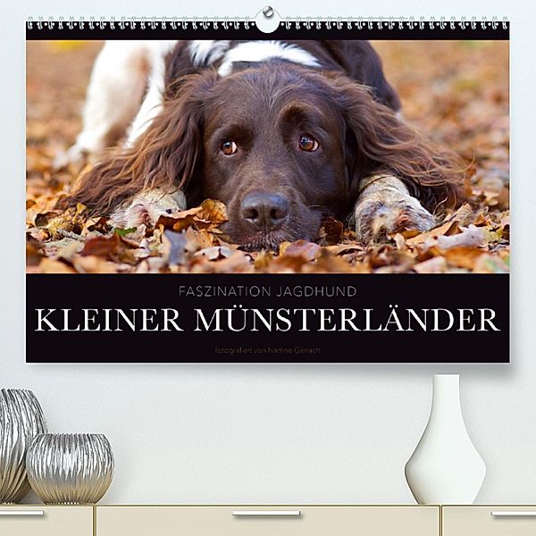 Faszination Jagdhund - Kleiner Münsterländer (Premium-Kalender 2020 DIN A2 quer), Nadine Gerlach