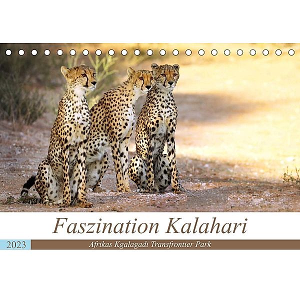 Faszination Kalahari (Tischkalender 2023 DIN A5 quer), Wibke Woyke