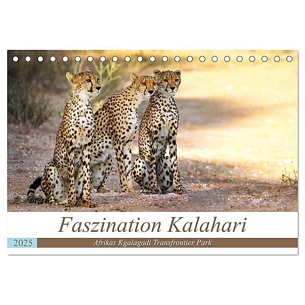 Faszination Kalahari (Tischkalender 2025 DIN A5 quer), CALVENDO Monatskalender, Calvendo, Wibke Woyke