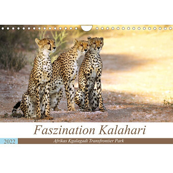 Faszination Kalahari (Wandkalender 2022 DIN A4 quer), Wibke Woyke