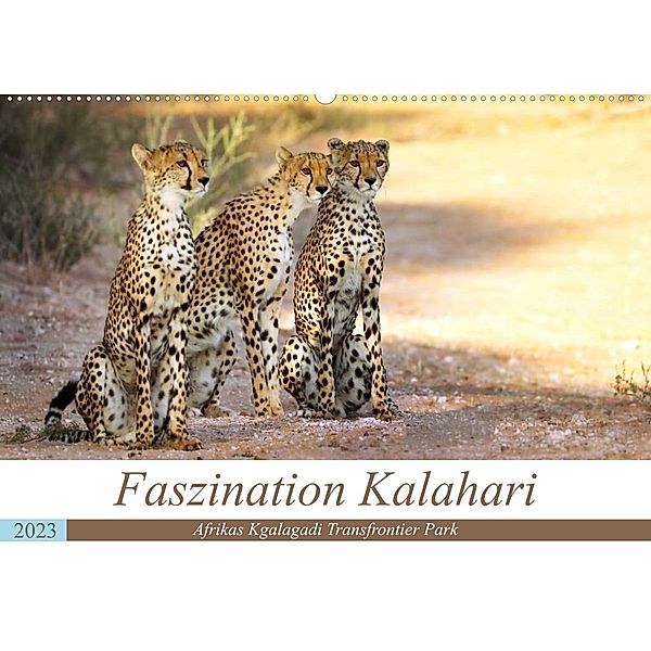 Faszination Kalahari (Wandkalender 2023 DIN A2 quer), Wibke Woyke