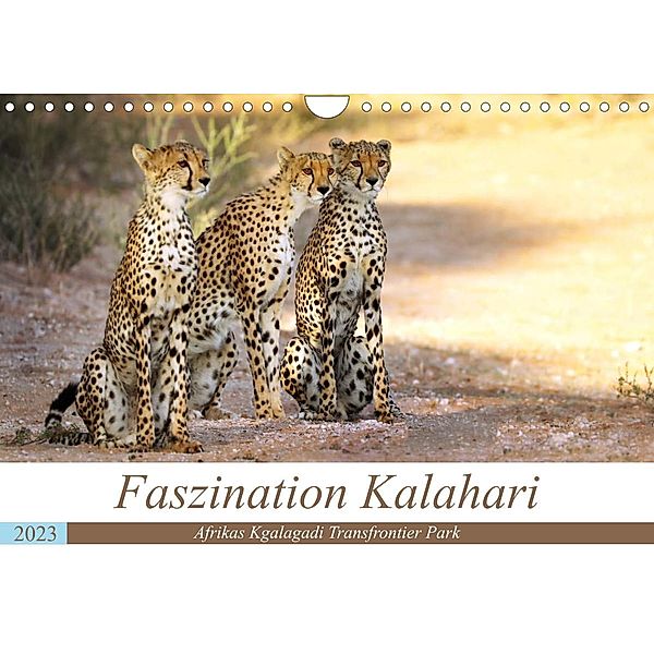 Faszination Kalahari (Wandkalender 2023 DIN A4 quer), Wibke Woyke
