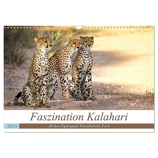 Faszination Kalahari (Wandkalender 2024 DIN A3 quer), CALVENDO Monatskalender, Wibke Woyke