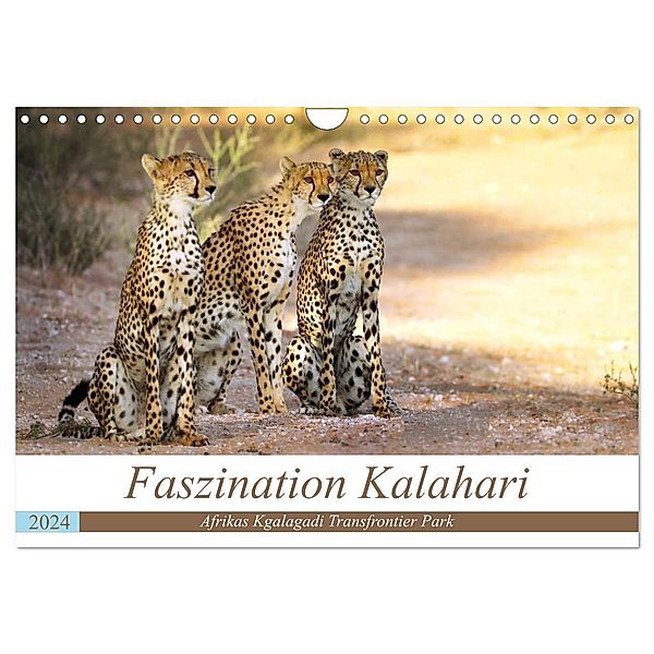 Faszination Kalahari (Wandkalender 2024 DIN A4 quer), CALVENDO Monatskalender, Wibke Woyke