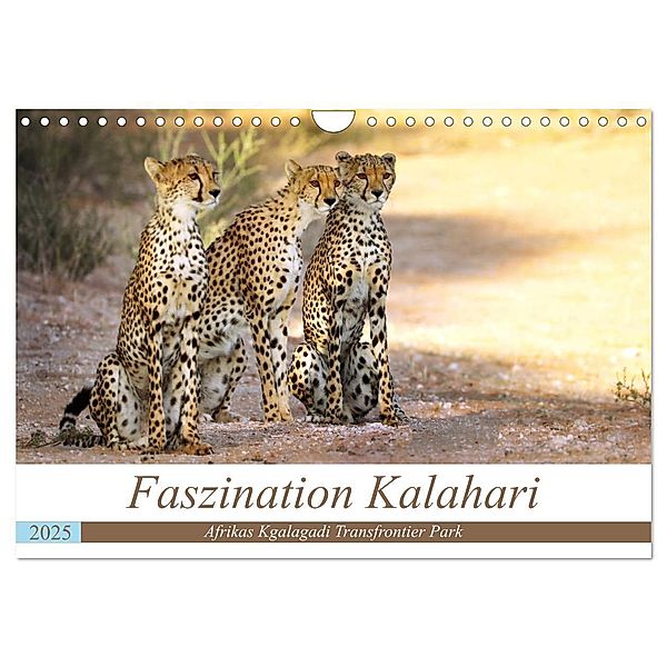 Faszination Kalahari (Wandkalender 2025 DIN A4 quer), CALVENDO Monatskalender, Calvendo, Wibke Woyke