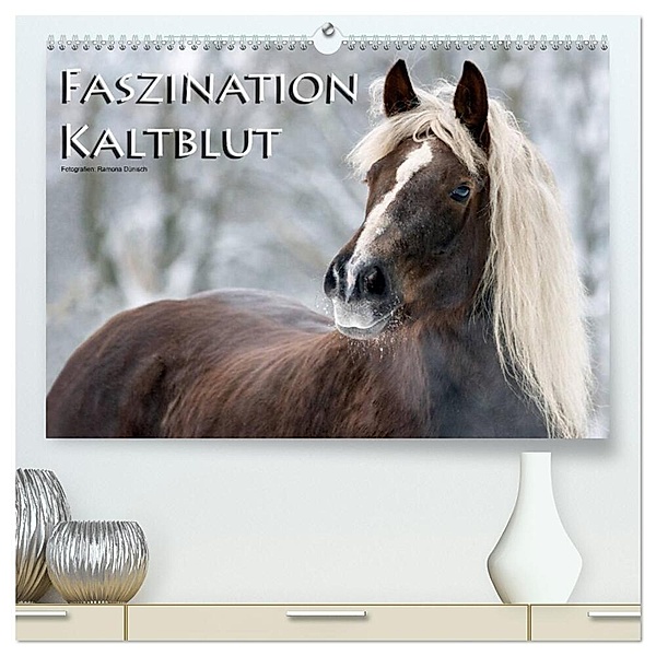 Faszination Kaltblut (hochwertiger Premium Wandkalender 2024 DIN A2 quer), Kunstdruck in Hochglanz, Ramona Dünisch - www.Ramona-Duenisch.de