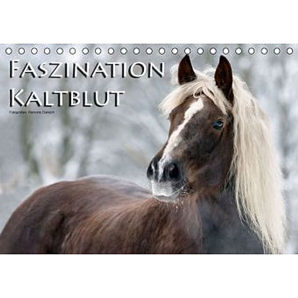 Faszination Kaltblut (Tischkalender 2015 DIN A5 quer), Ramona Dünisch