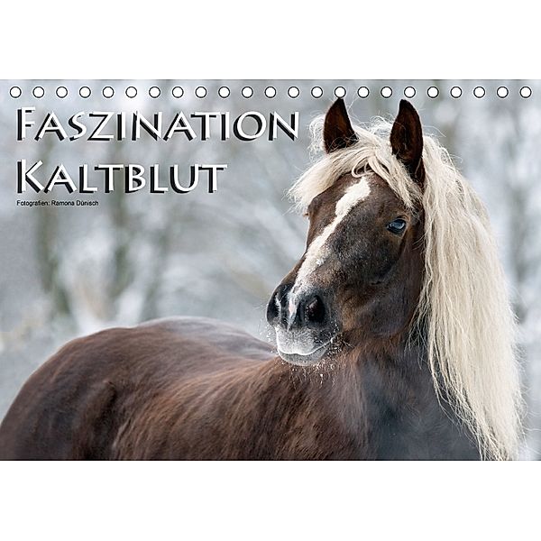 Faszination Kaltblut (Tischkalender 2018 DIN A5 quer), Ramona Dünisch