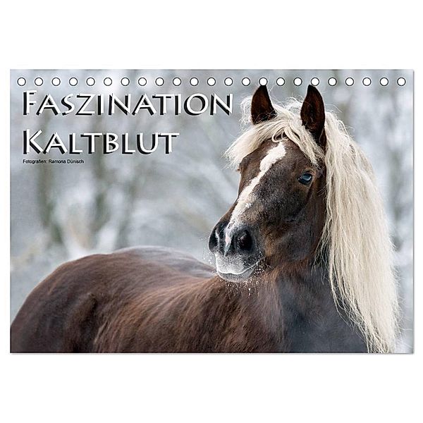 Faszination Kaltblut (Tischkalender 2025 DIN A5 quer), CALVENDO Monatskalender, Calvendo, Ramona Dünisch - www.Ramona-Duenisch.de