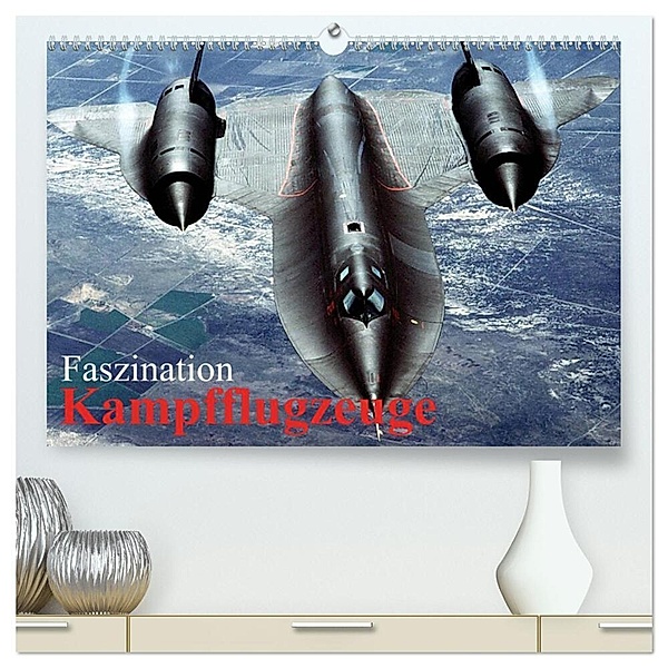 Faszination Kampfflugzeuge (hochwertiger Premium Wandkalender 2024 DIN A2 quer), Kunstdruck in Hochglanz, Elisabeth Stanzer