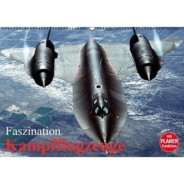 Faszination Kampfflugzeuge (Wandkalender 2016 DIN A2 quer), Elisabeth Stanzer