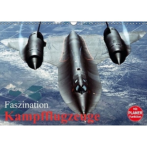 Faszination Kampfflugzeuge (Wandkalender 2016 DIN A3 quer), Elisabeth Stanzer
