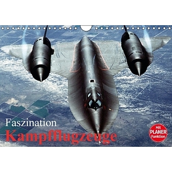 Faszination Kampfflugzeuge (Wandkalender 2016 DIN A4 quer), Elisabeth Stanzer