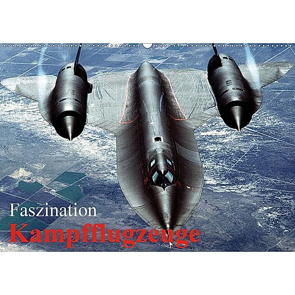 Faszination Kampfflugzeuge (Wandkalender 2020 DIN A2 quer), Elisabeth Stanzer