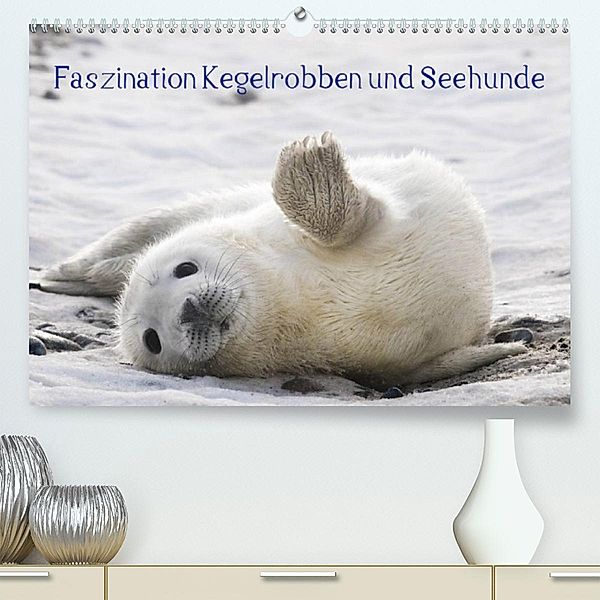 Faszination Kegelrobben und Seehunde 2023 (Premium, hochwertiger DIN A2 Wandkalender 2023, Kunstdruck in Hochglanz), Armin Maywald