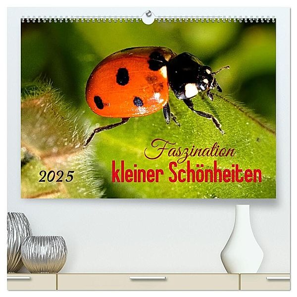 Faszination kleiner Schönheiten (hochwertiger Premium Wandkalender 2025 DIN A2 quer), Kunstdruck in Hochglanz, Calvendo, Andrea Dreegmeyer