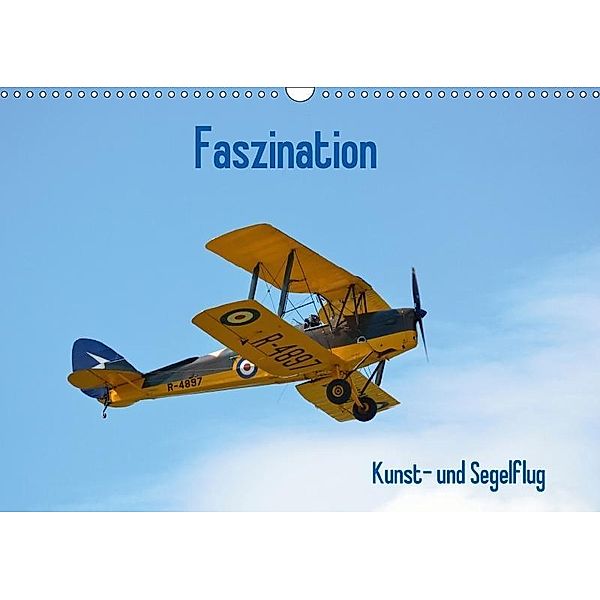 Faszination Kunst- und Segelflug (Wandkalender 2017 DIN A3 quer), Friedrich Wesch